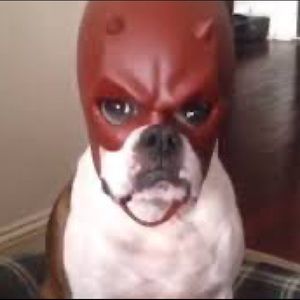 Meet your Posher, Jeffry